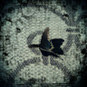 Meet your Posher, Tamara